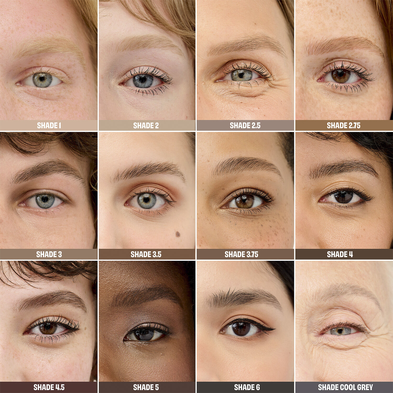 Precisely, My Brow - Pencil