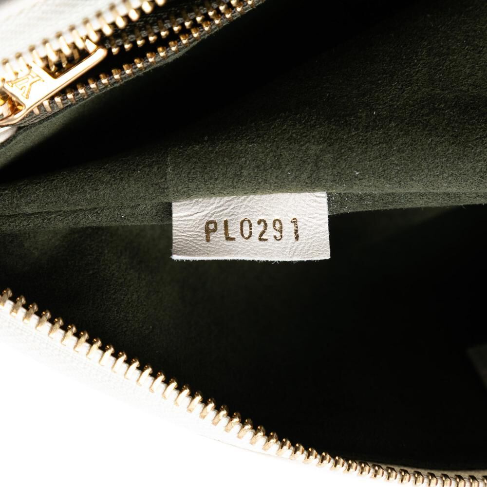 Louis Vuitton Coussin
