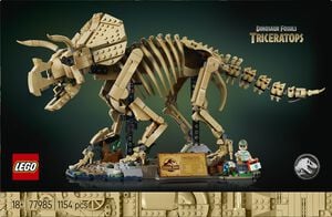 Dinosaurfossiler - Triceratops 77985
