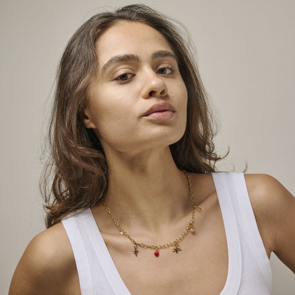 Charm, Devoted Swallow