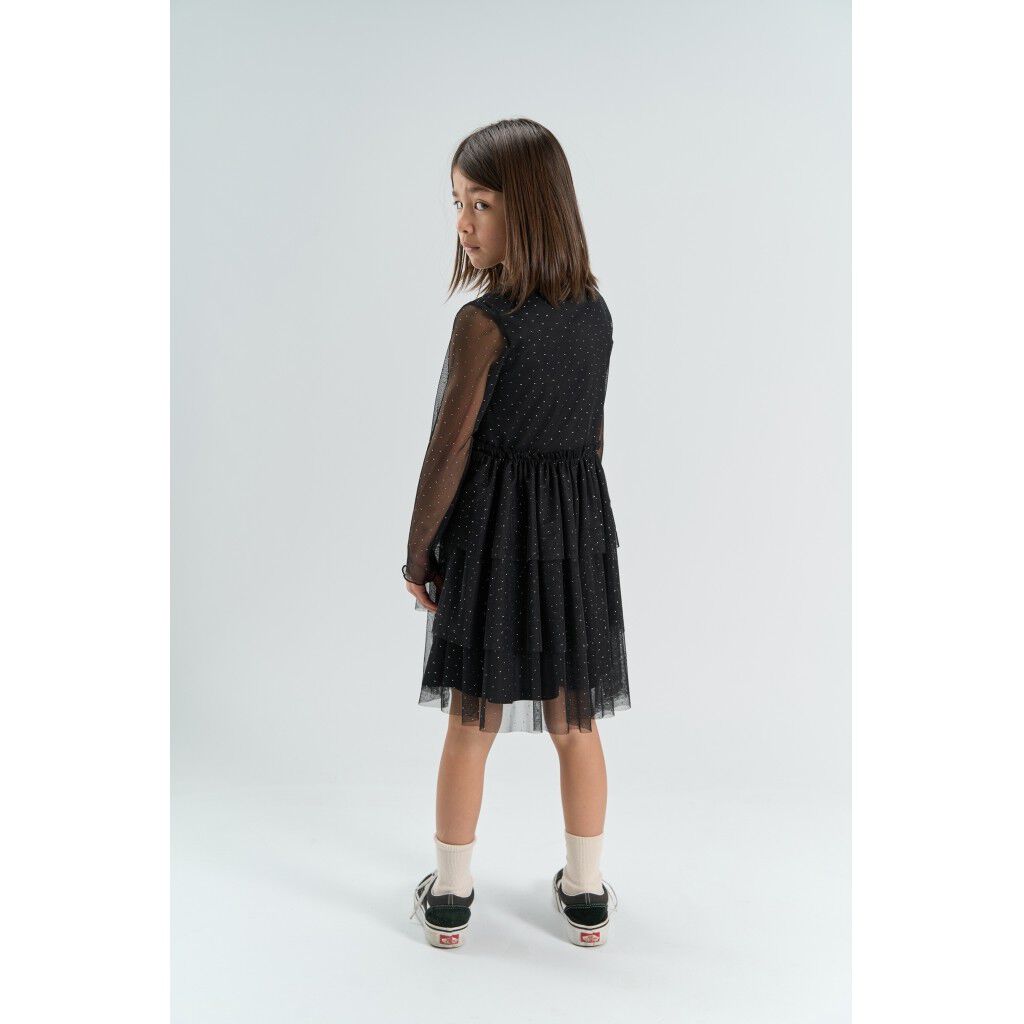 Tnyancy L_S Mesh Dress