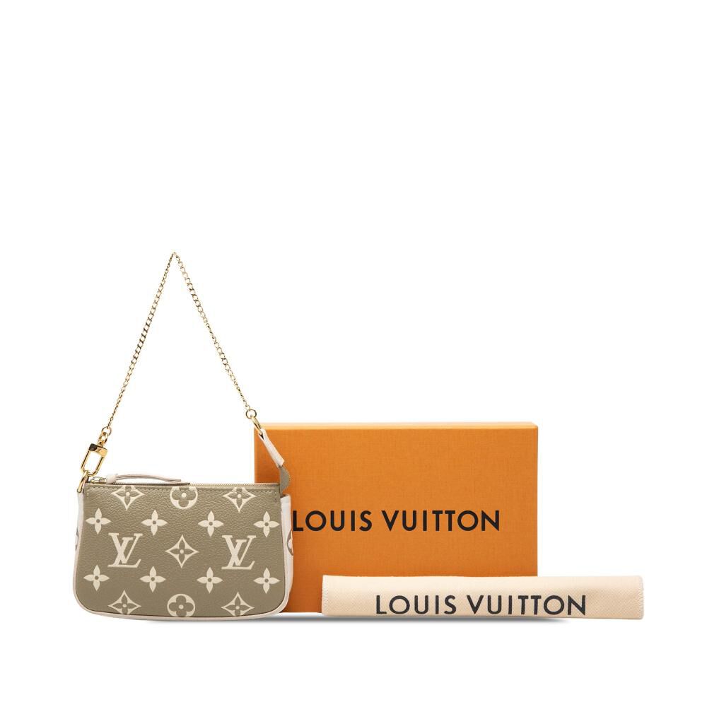 Louis Vuitton Pochette Accessoires
