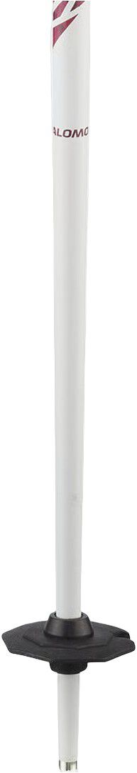 Poles Brigade Skistave