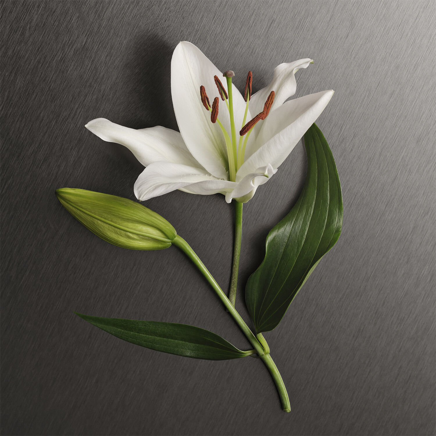 Eternity Eau de Parfum