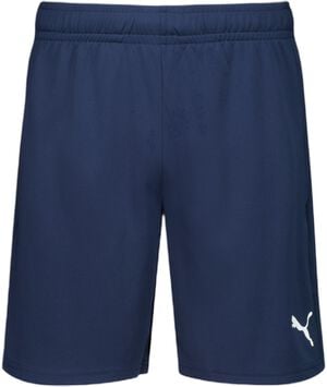 TeamLIGA Tr&aelig;nings Shorts