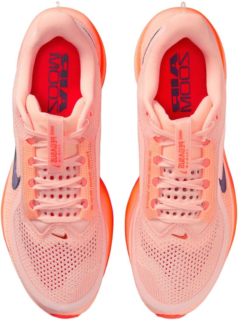 Pegasus Premium L&oslash;besko