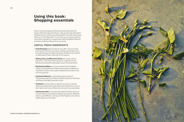 Vietnamese Made Easy