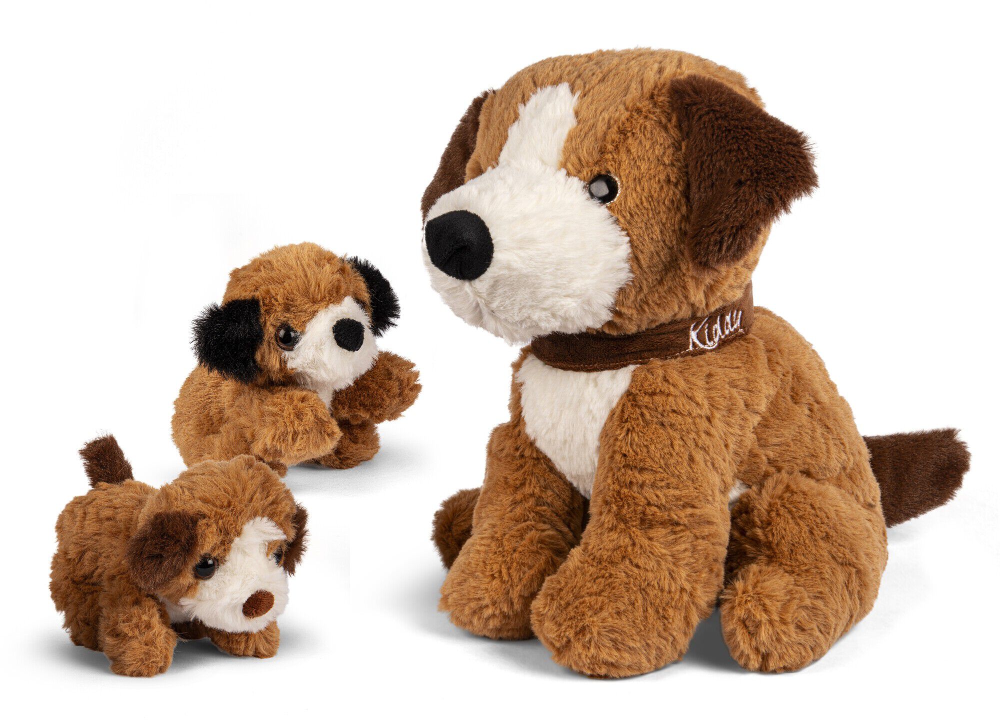 KIDDY 32c HUND m2 HVALPE