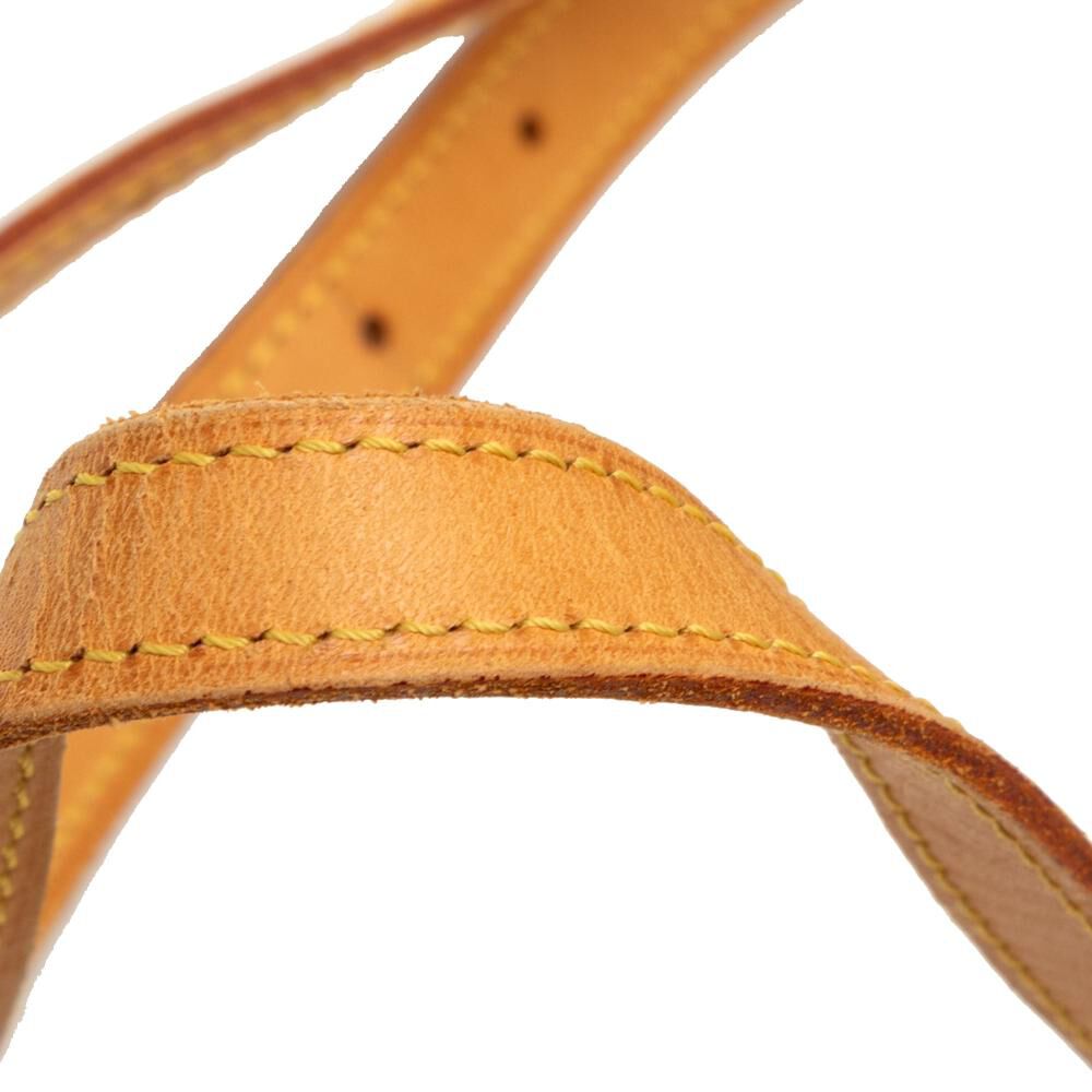 Louis Vuitton Bucket Bag