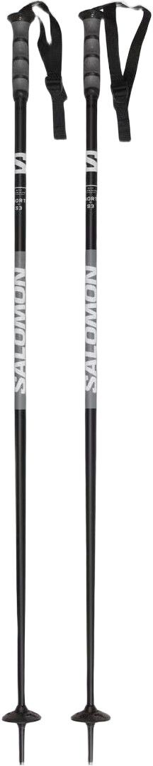 Poles X North 3S Skistave