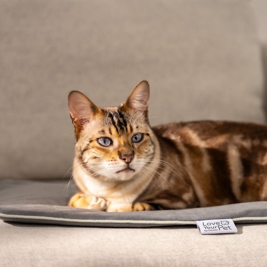 PetCare PP 210 Lilli Varmem&aring;tte til k&aelig;ledyr 41x34 cm