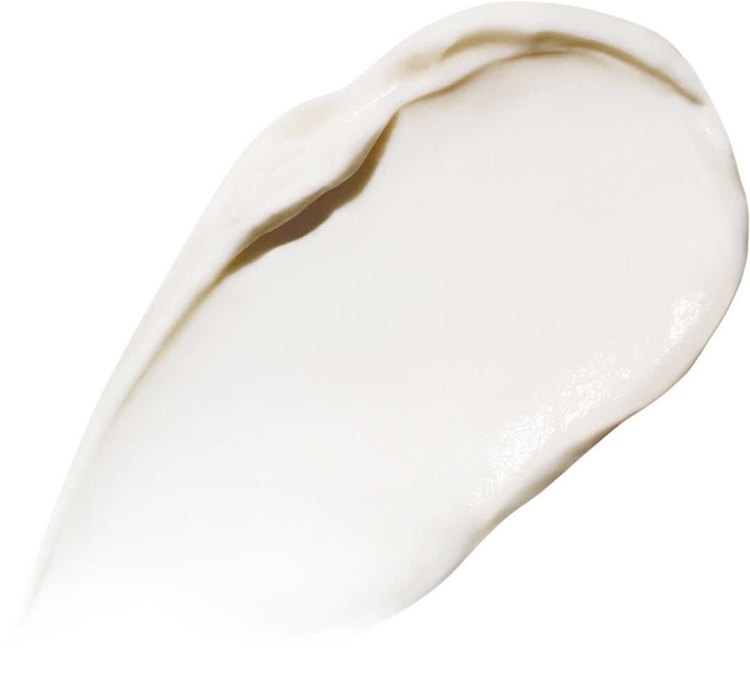 The Rejuvenating Night Moisturizer Cream