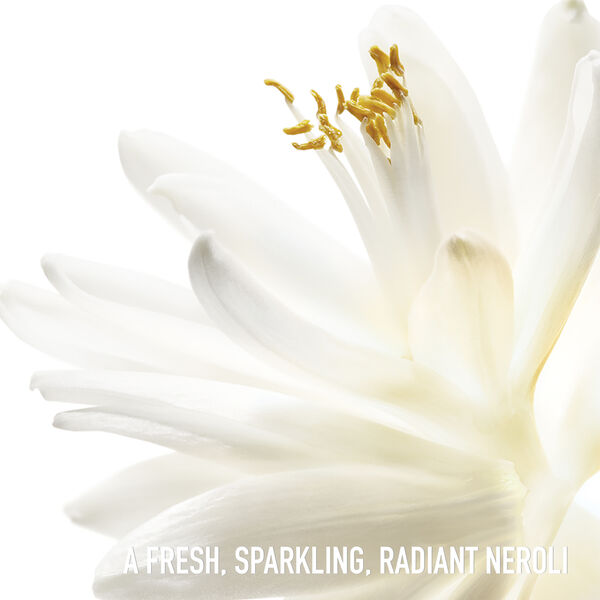 J'adore Eau de Toilette Roller-Pearl