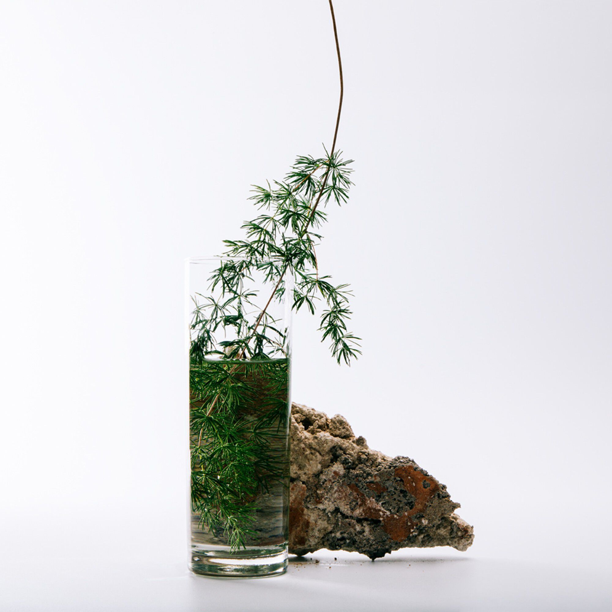 LOEWE Solo Cedro Eau de Toilette