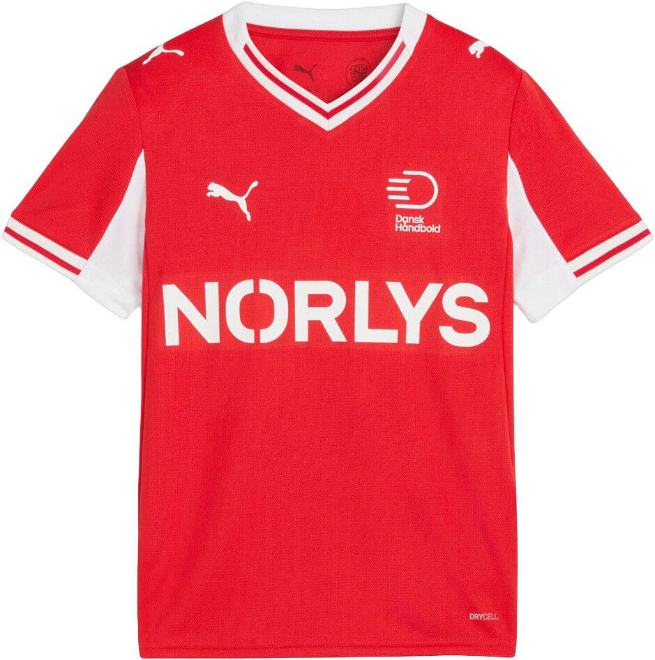 Danmark DHF 26 Hjemmebanetr&oslash;je