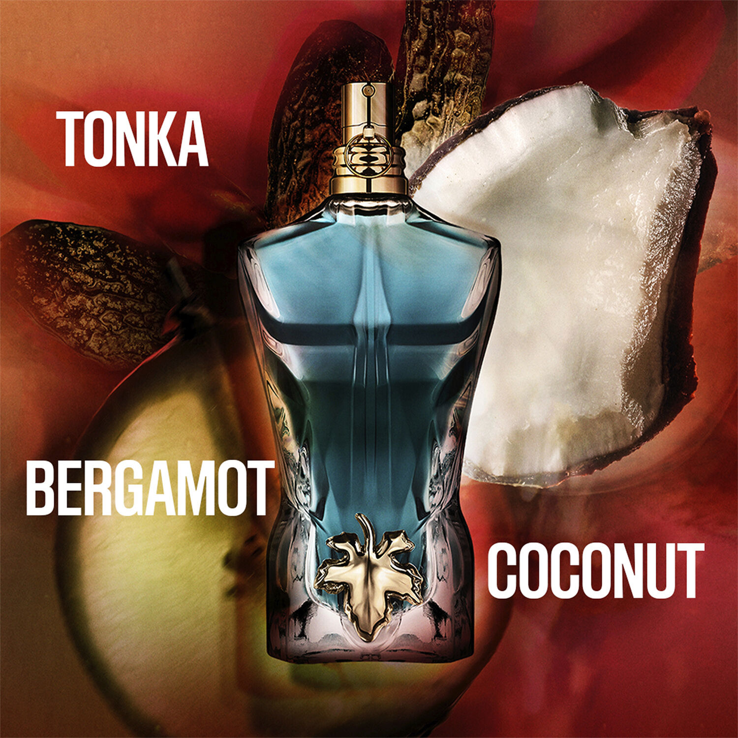 Jean Paul GAULTIER Le Beau Eau de toilette