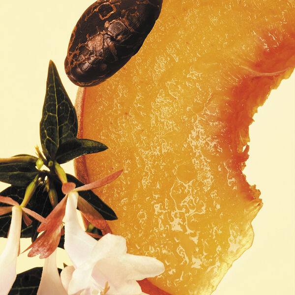 The Scent For Her Eau De Parfum