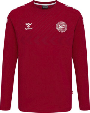 DBU Danmark Fan langærmet T-shirt Børn