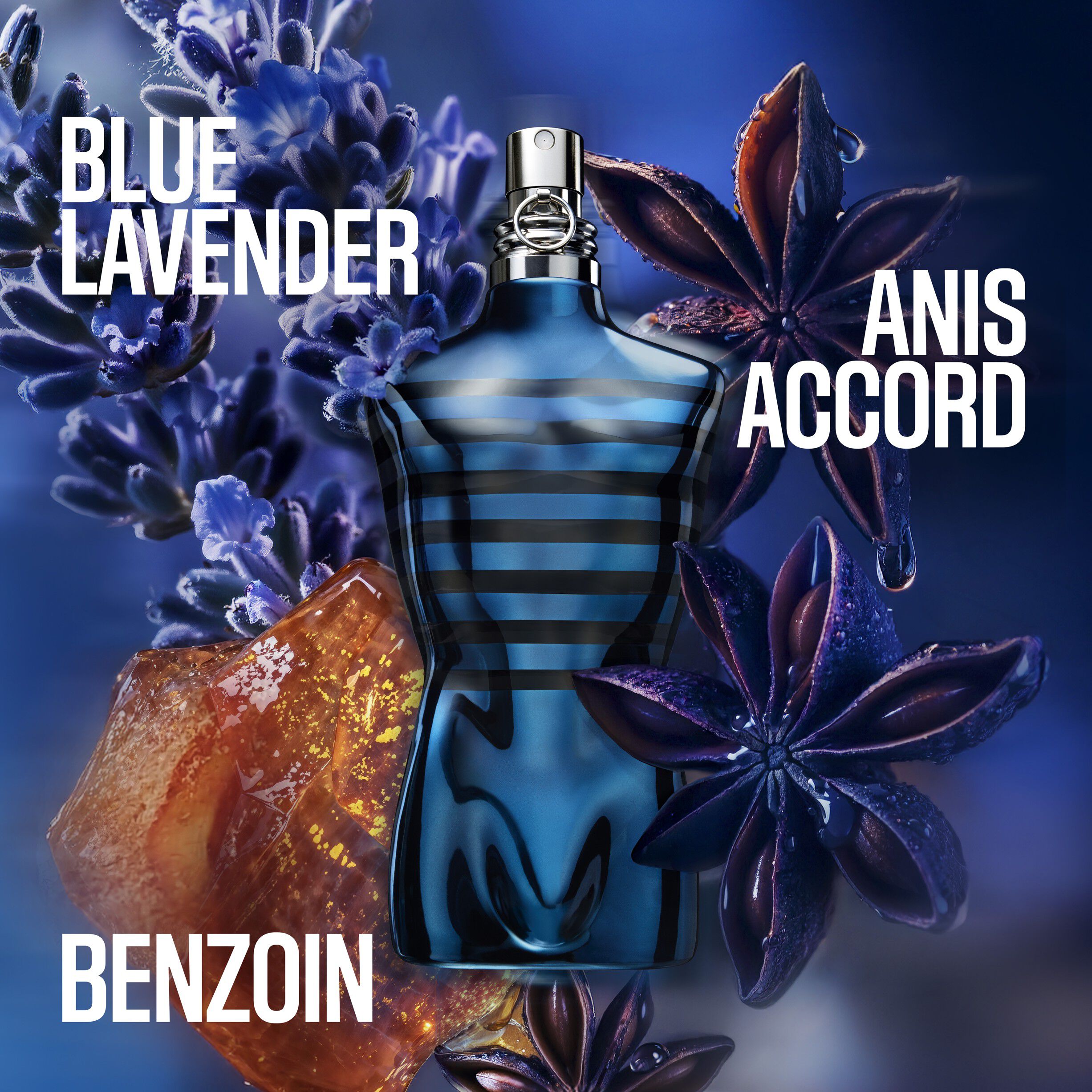 Le Male In Blue Eau de Parfum