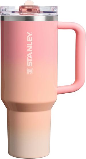 The Quencher Flip Straw Pro Tour Tumbler 1. 18L / 40oz Pink M
