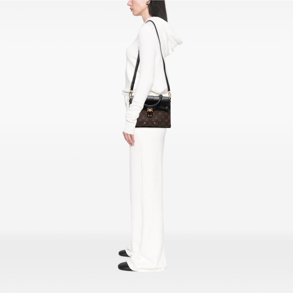 Louis Vuitton Handbag