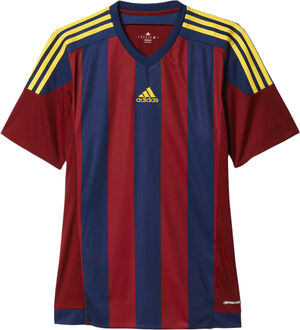 Striped 15 T-shirt