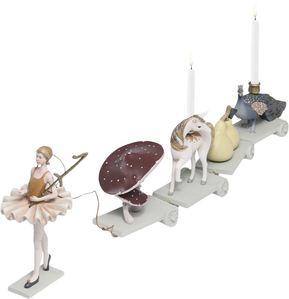 F&oslash;dselsdagstog