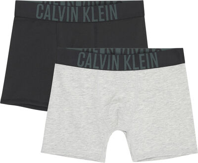 2PK BRIEFS fra Calvin Klein | 124.50 DKK | Magasin.dk