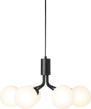 Apiales 6, satin black / opal