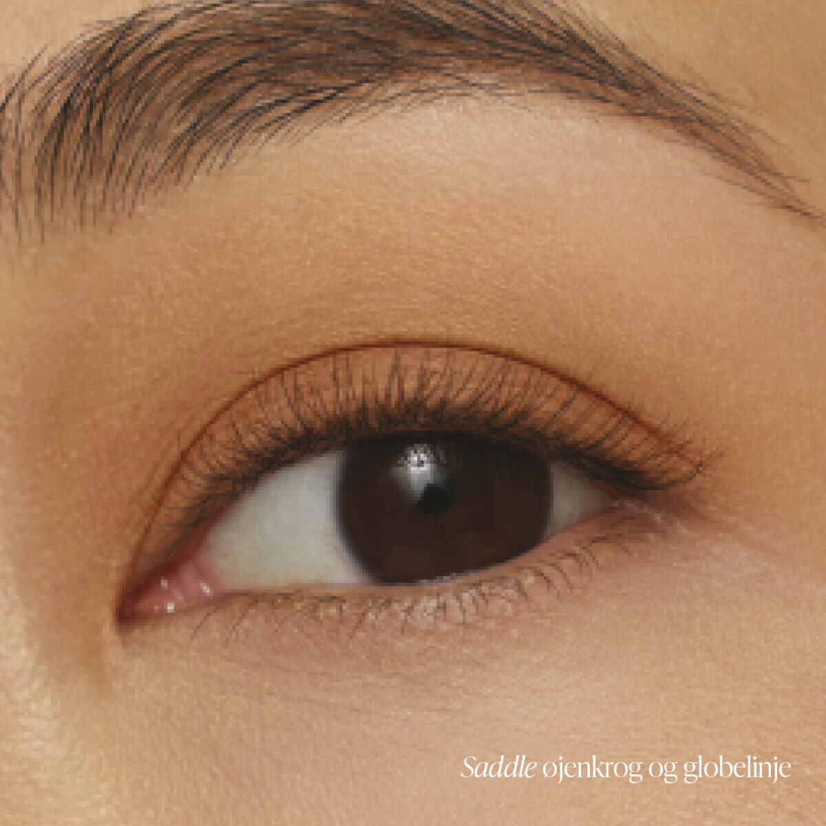 ColorLuxe Eye Shadow Stick