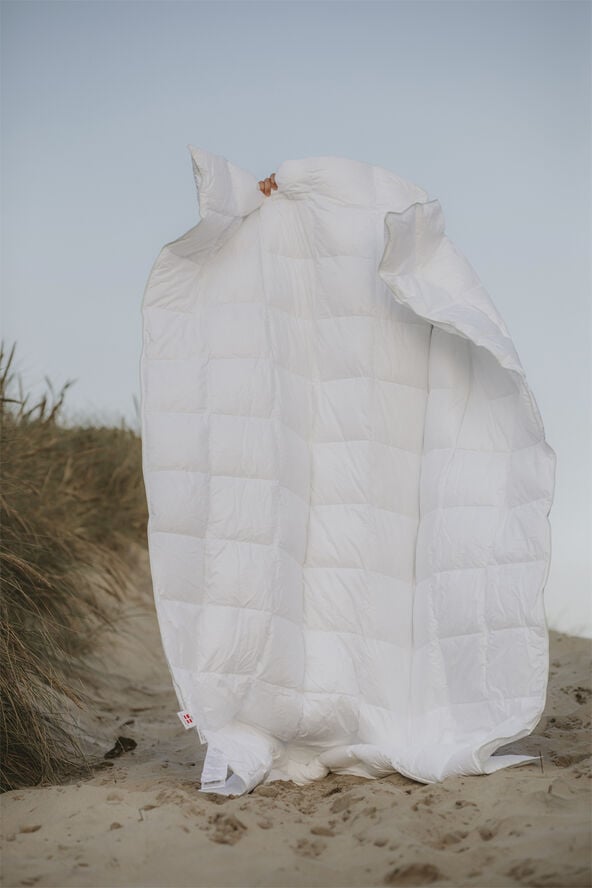 Fossflakes Dyne, Spring