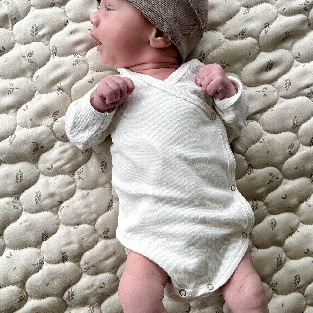 Rib l/s body