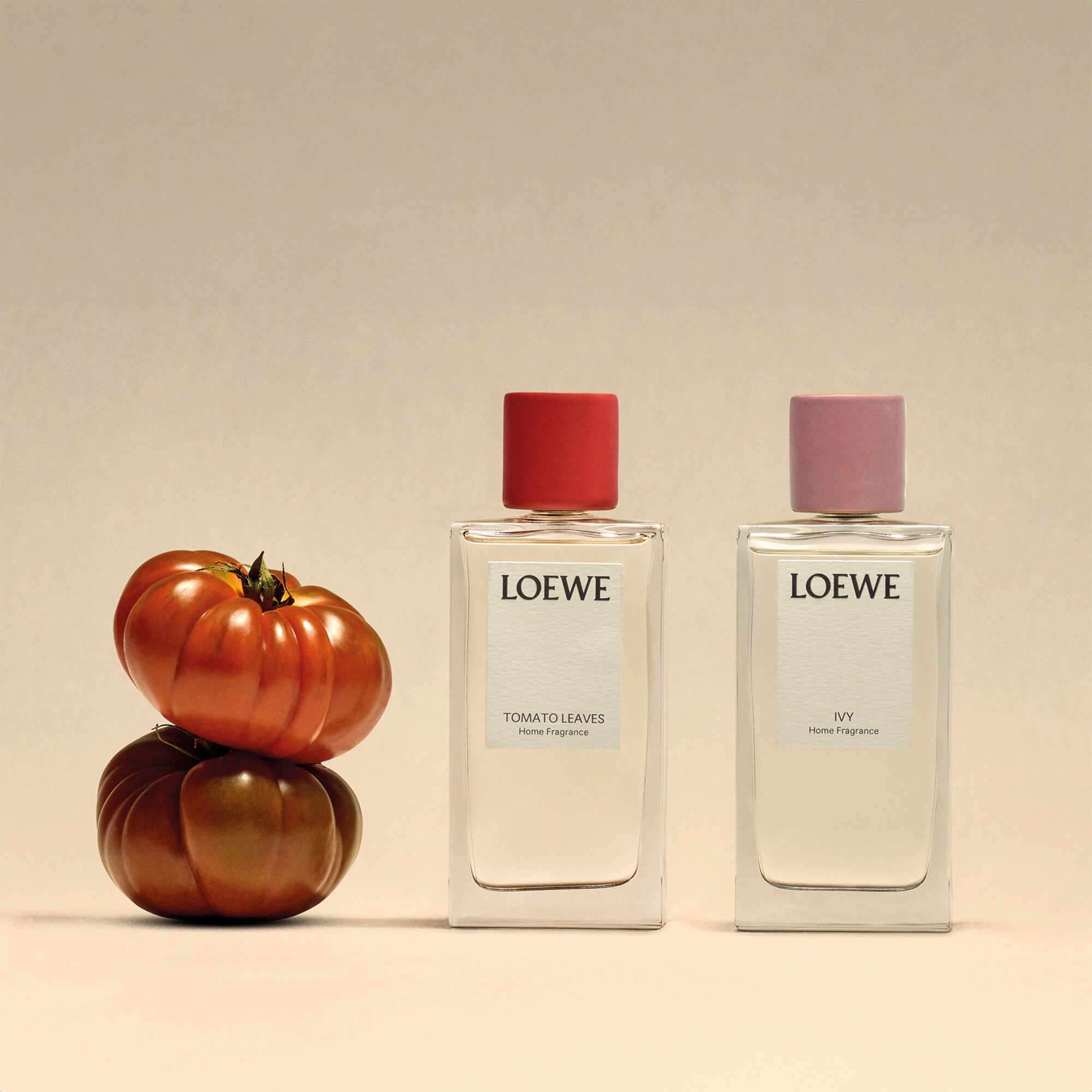 LOEWE Tomato Leaves Room Spray 150 ml