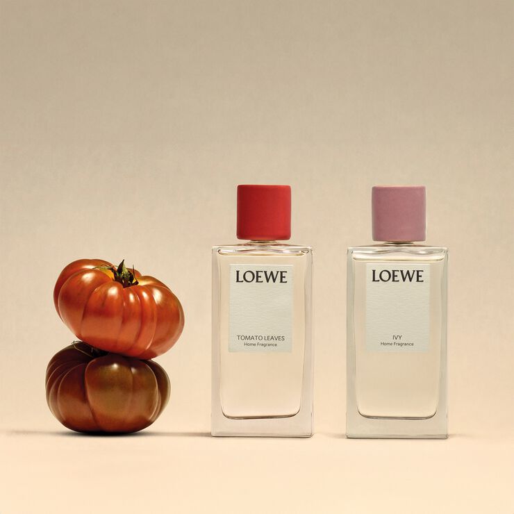 LOEWE Tomato Home Fragrance