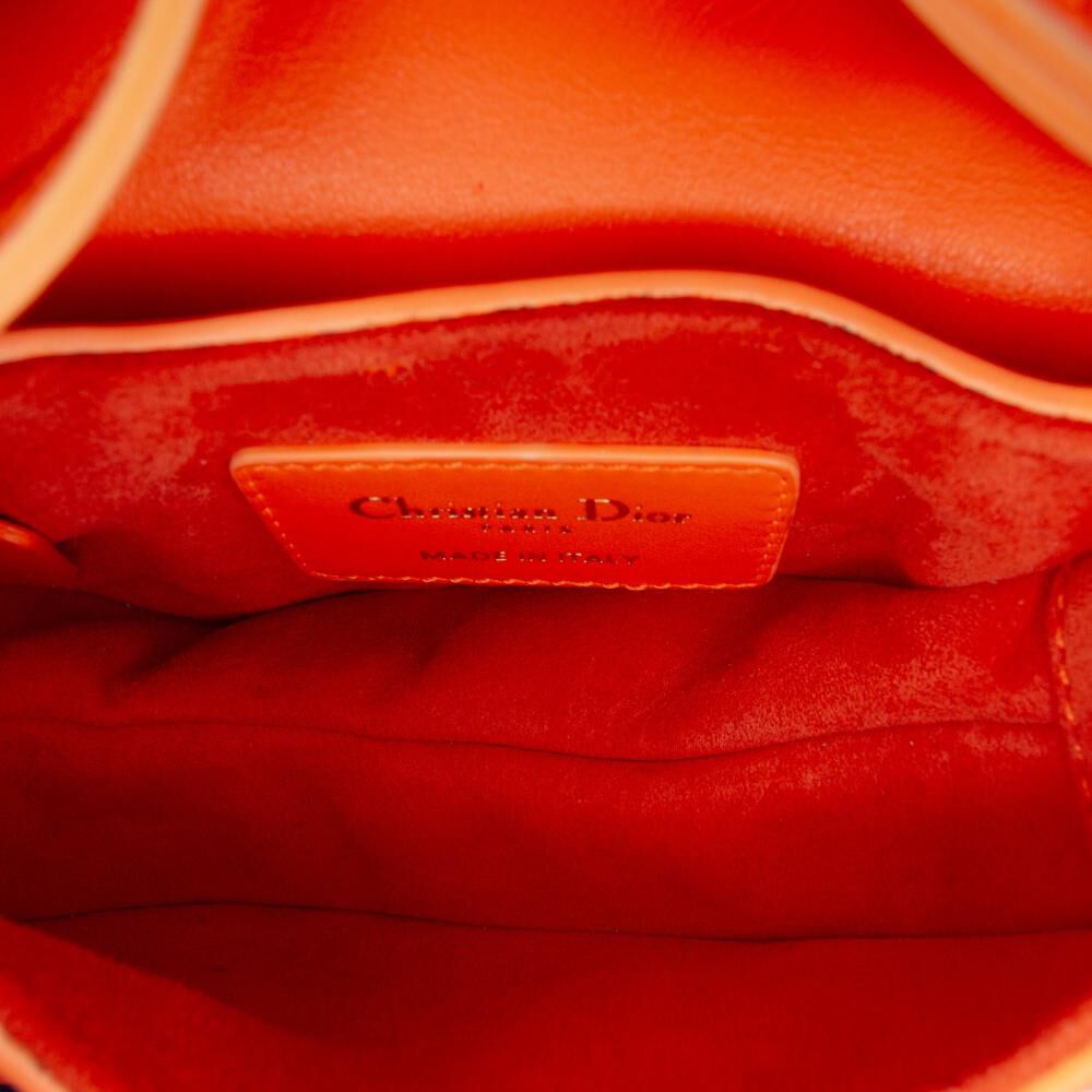 Dior Saddle Bag