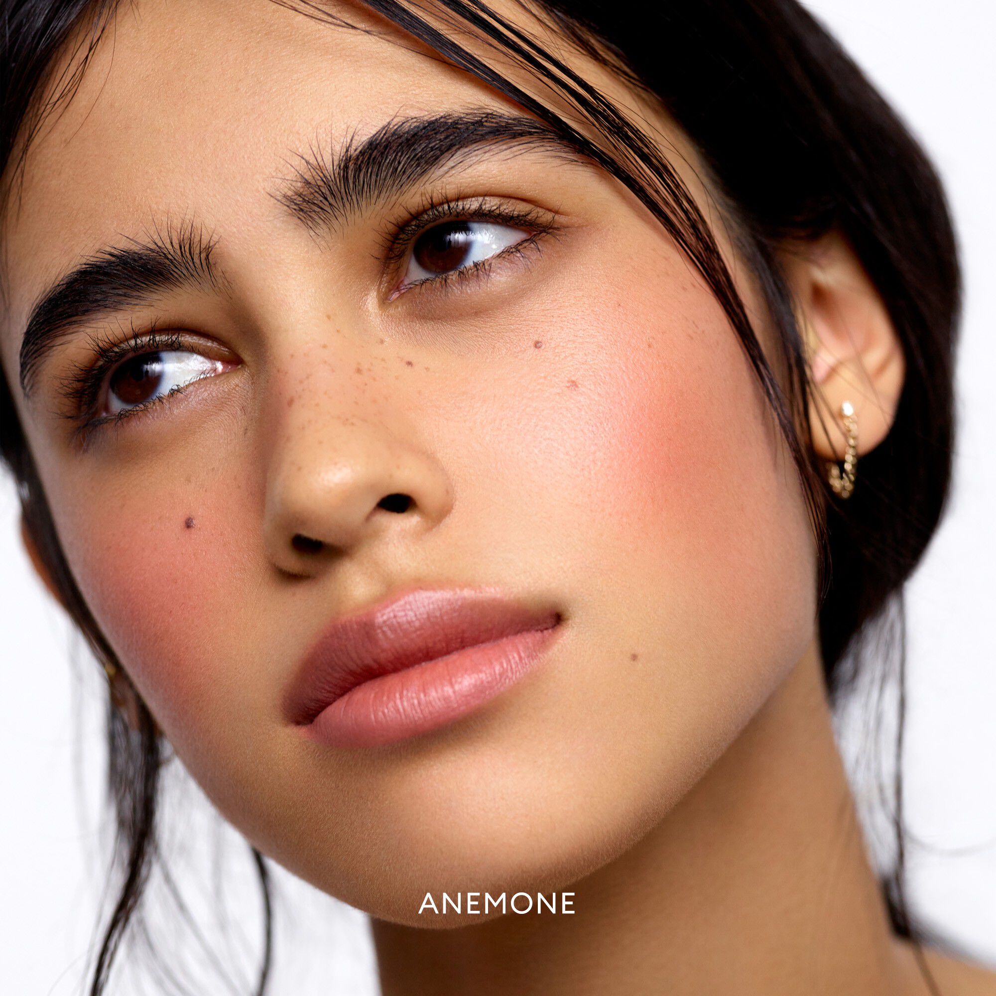 Blush Divine Radiant Lip & Cheek Color