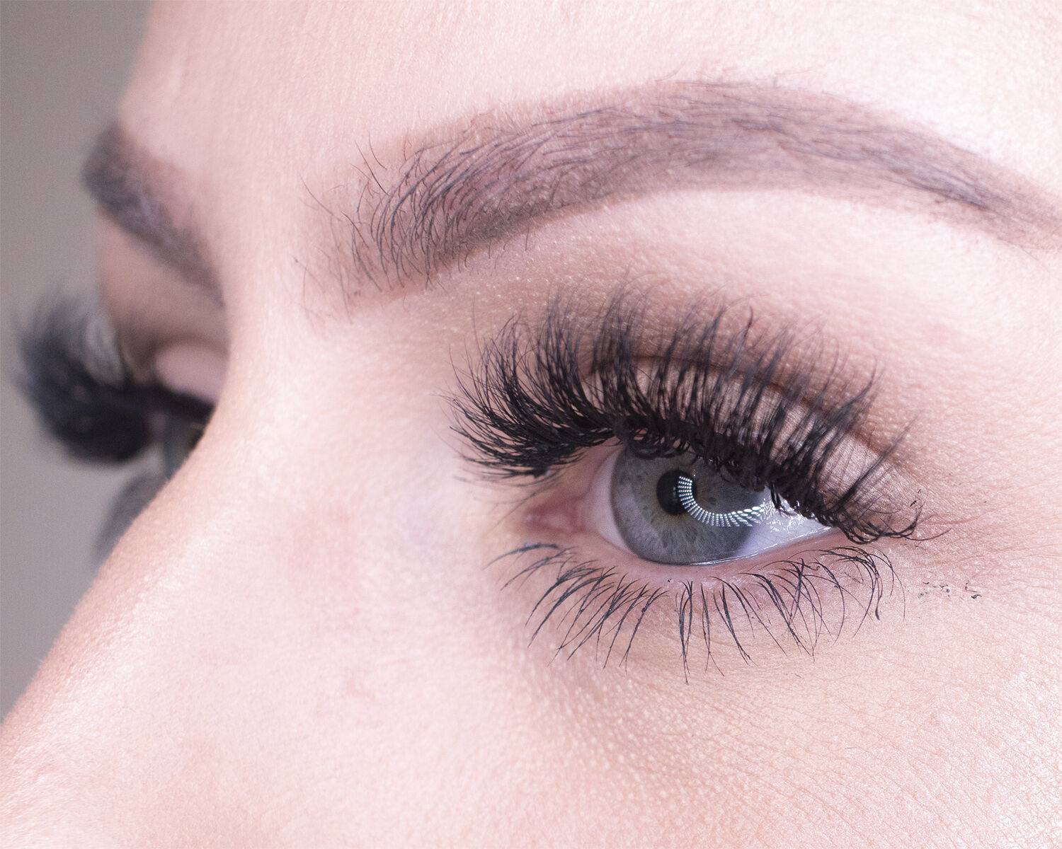 Red Carpet - Premium 3D Collection