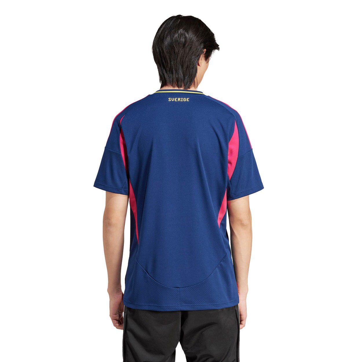 Sverige 24/25 Udebanetr&oslash;je