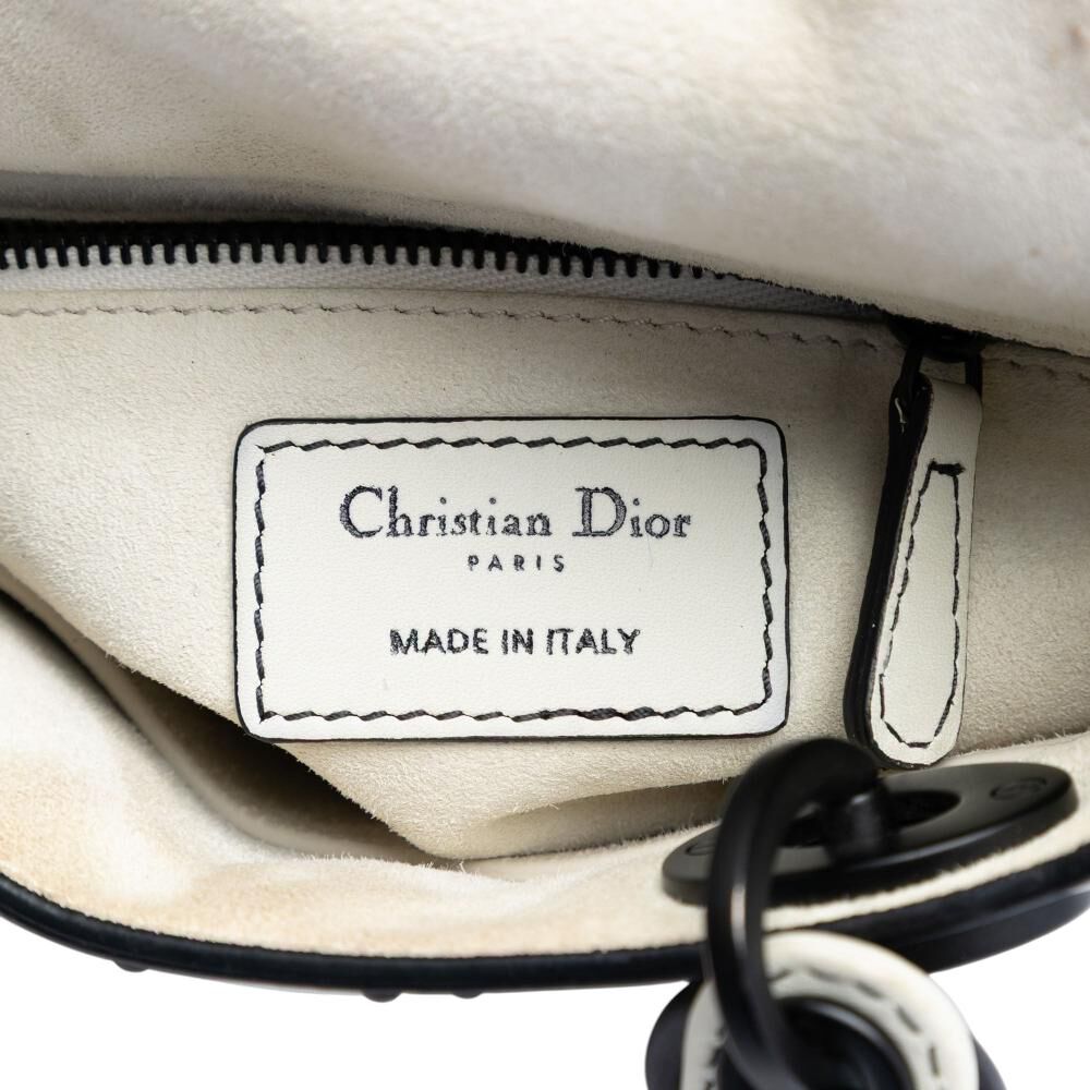 Dior Lady Dior