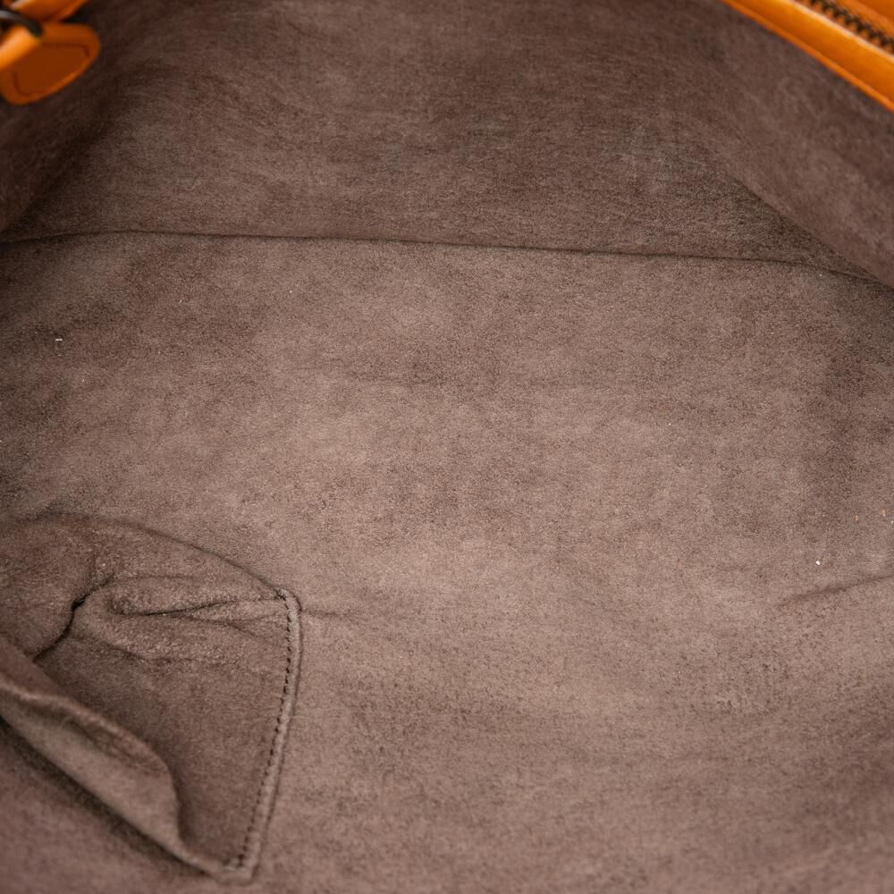 Bottega Veneta Crossbody Bag