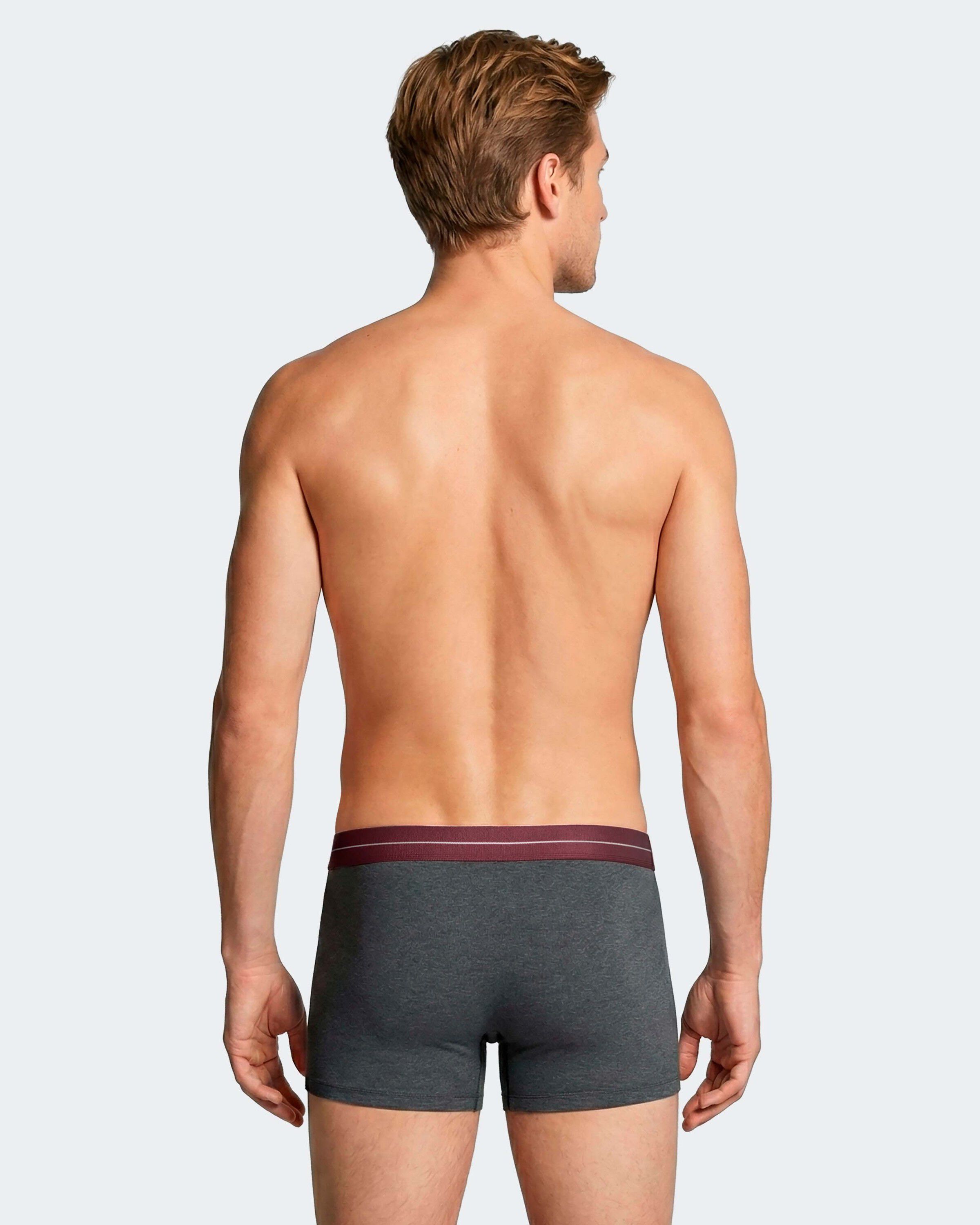 Pack of 2 men's boxers in Cotton