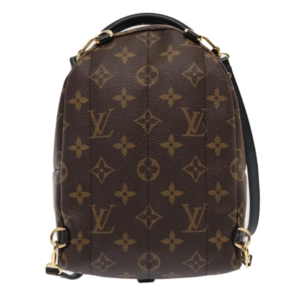 Louis Vuitton Palm Springs