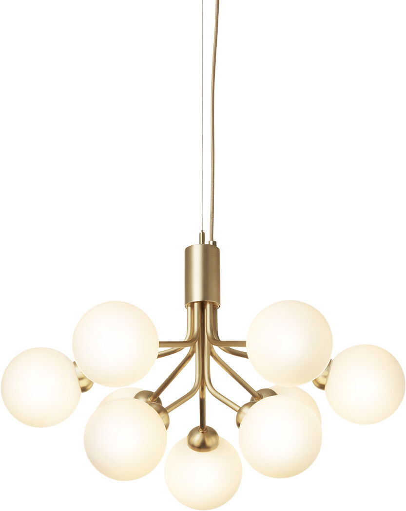 Apiales 9, brushed brass / opal