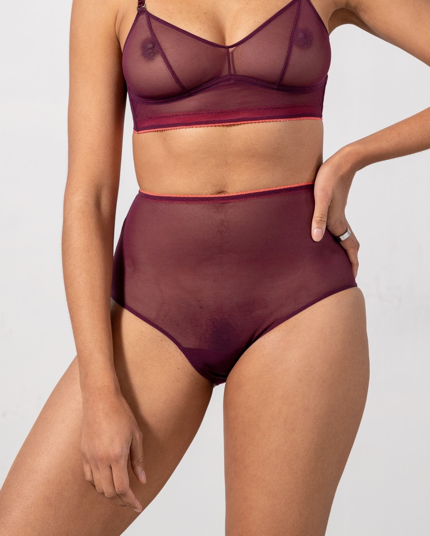 Mesh Highwaist Briefs