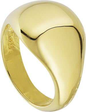 Atomic Dome Signet Ring