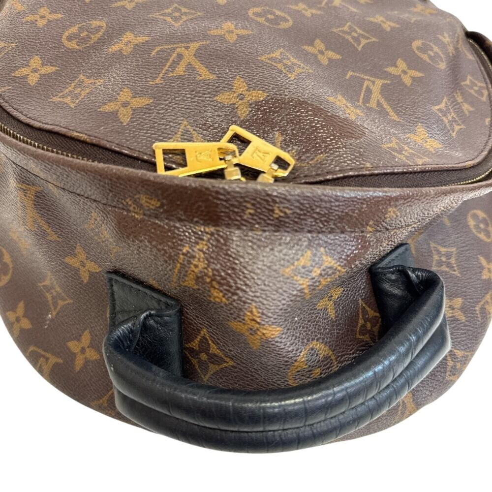 Louis Vuitton Palm Springs