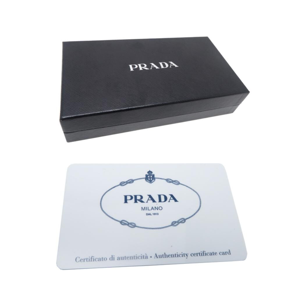 Prada Pouch