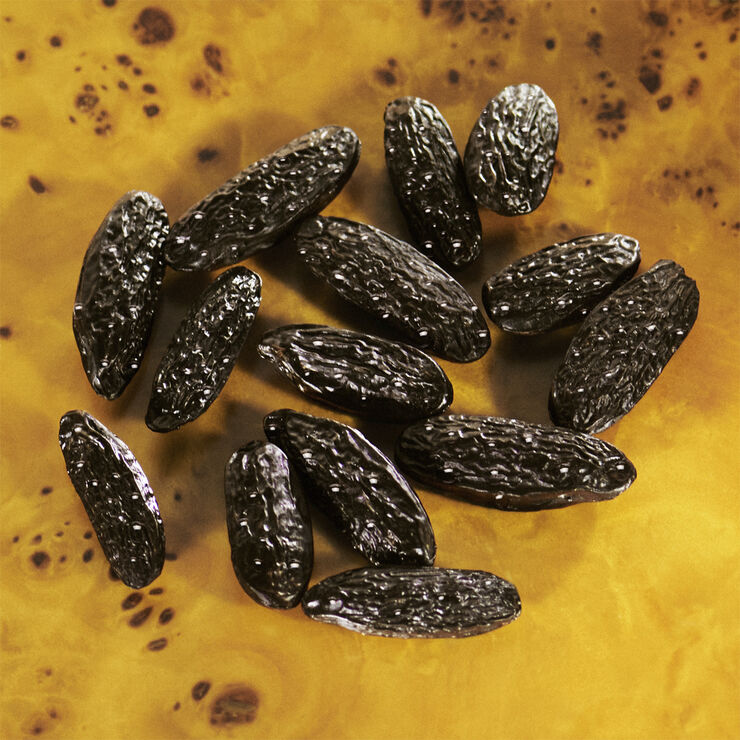 Guilty Elixir de Parfum