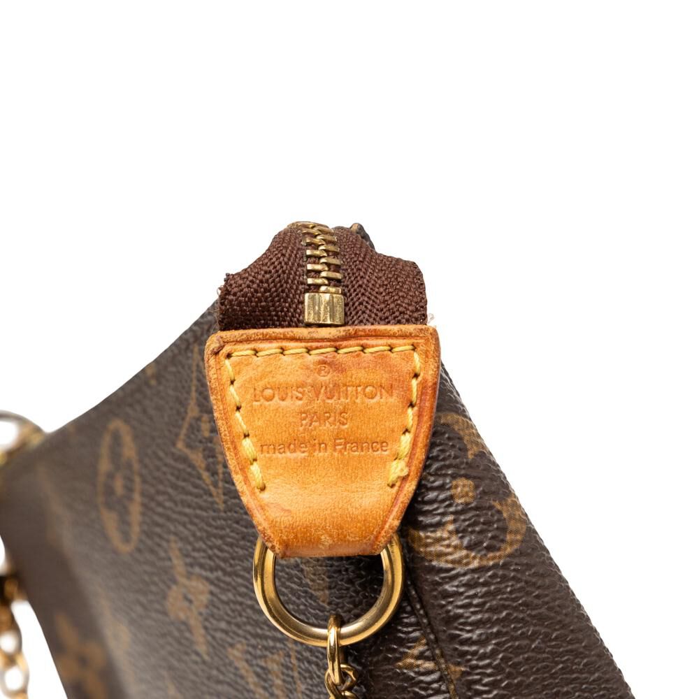 Louis Vuitton Pochette Accessoires