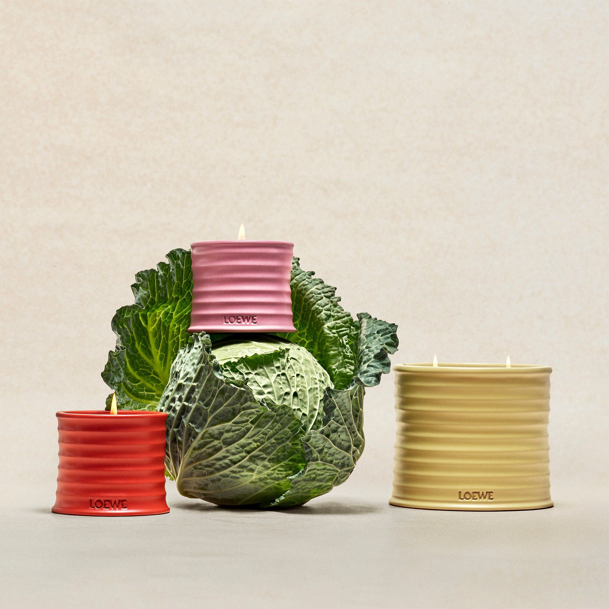 LOEWE Honeysuckle Candle